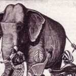 Los seis ciegos y el elefante