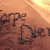 Carpe diem