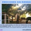 Emociones sin riendas
